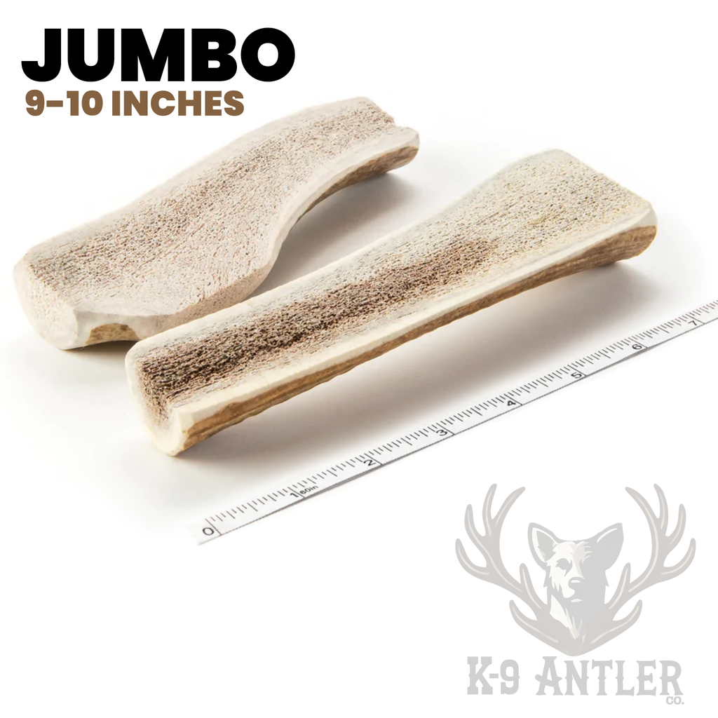Jumbo Split Elk Antler Chew