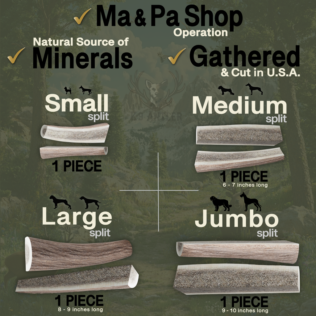 Jumbo Split Elk Antler Chew