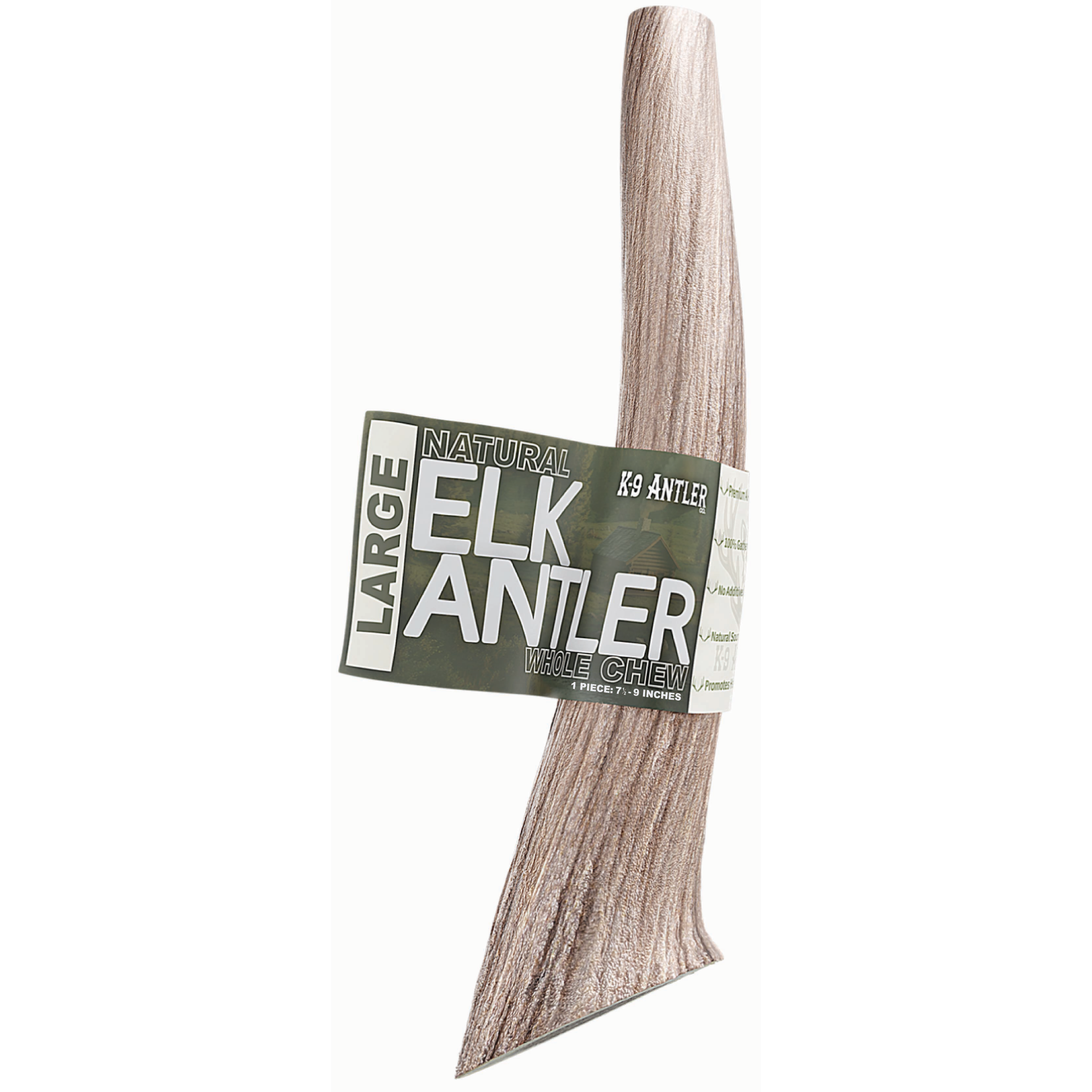 Large Whole Elk Antler Chew
